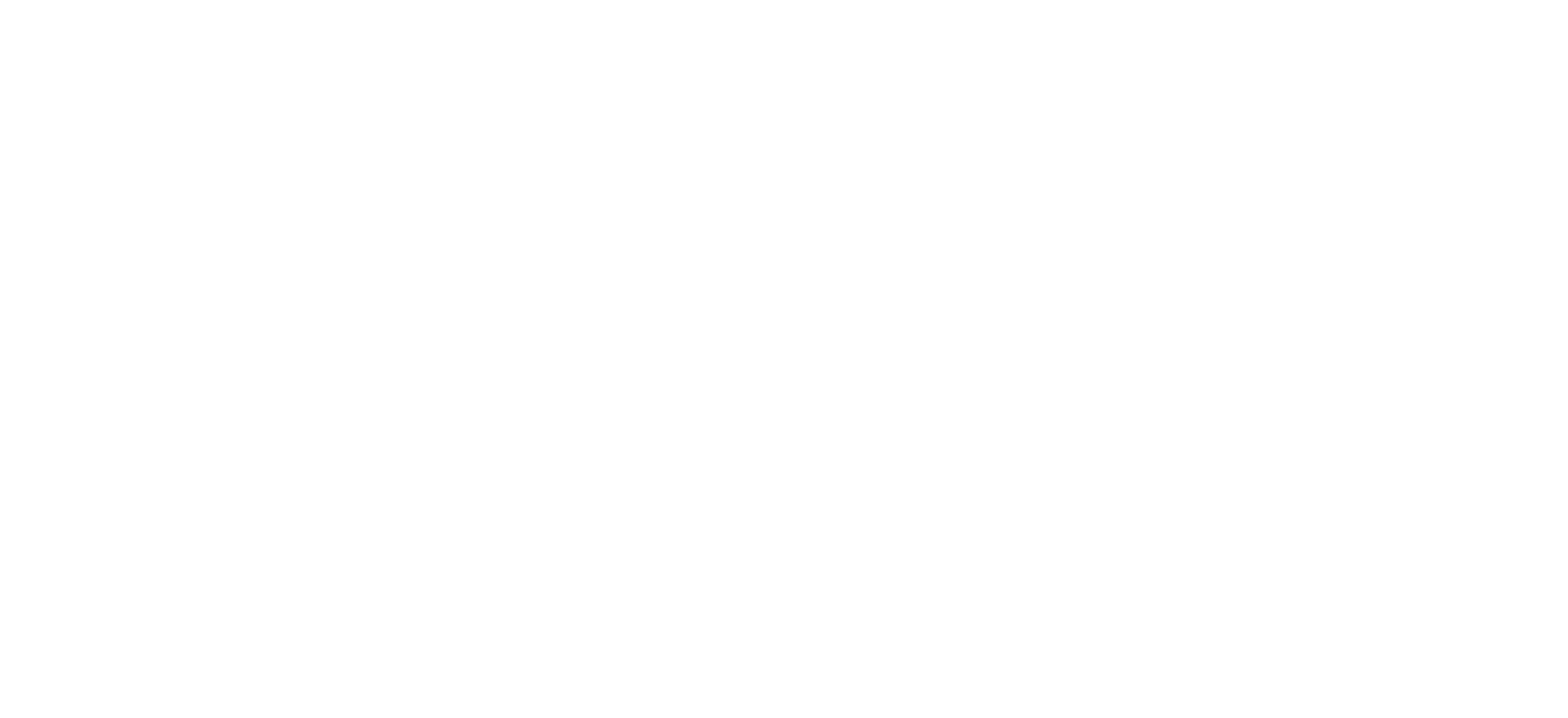 Rigr AI Logo